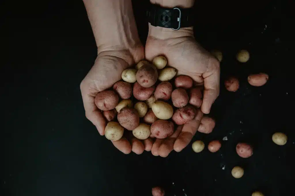 Potato in a man's hand