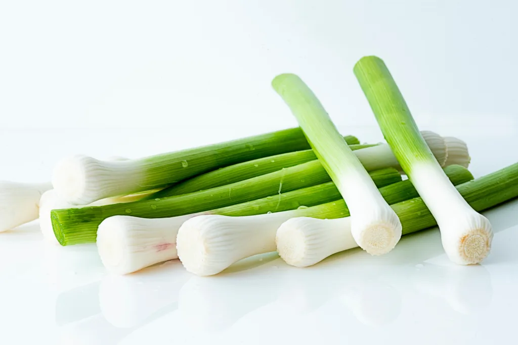Spring Onions with white background