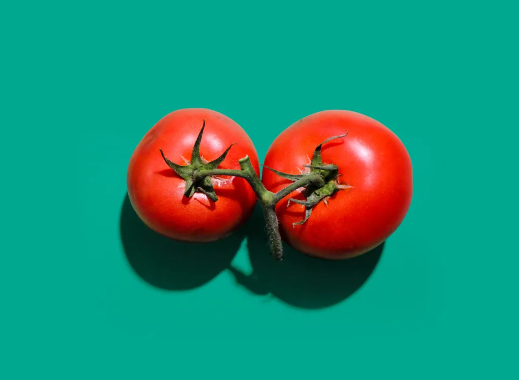 Two tomatoes with a dark cyan background