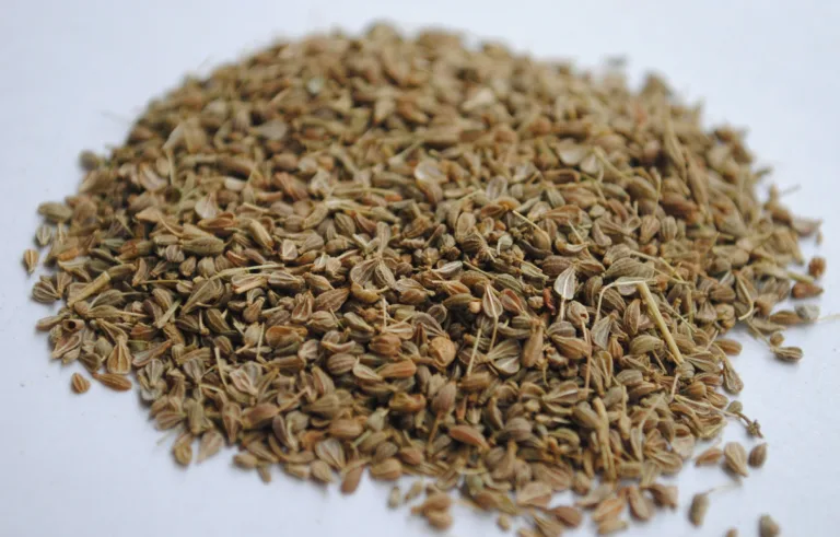 Surprisingly Health Benefits of Caraway Seed