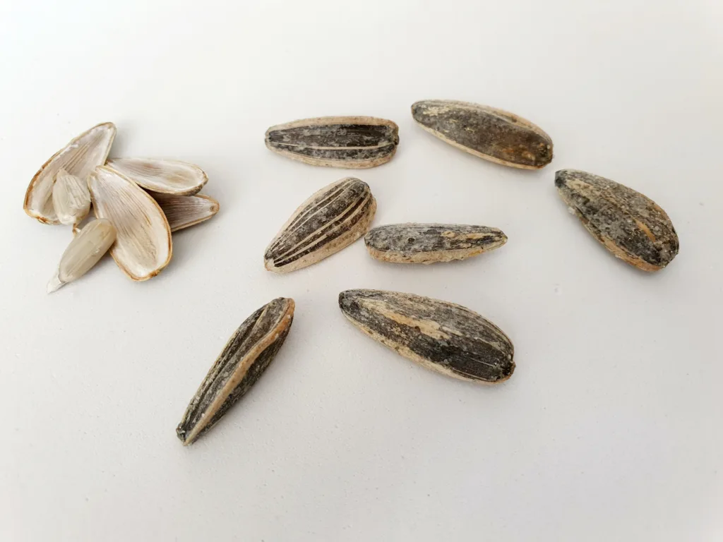 Sunflower seeds on light gray surface