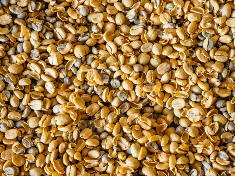 Surprisingly Health Benefits of Hemp Seeds