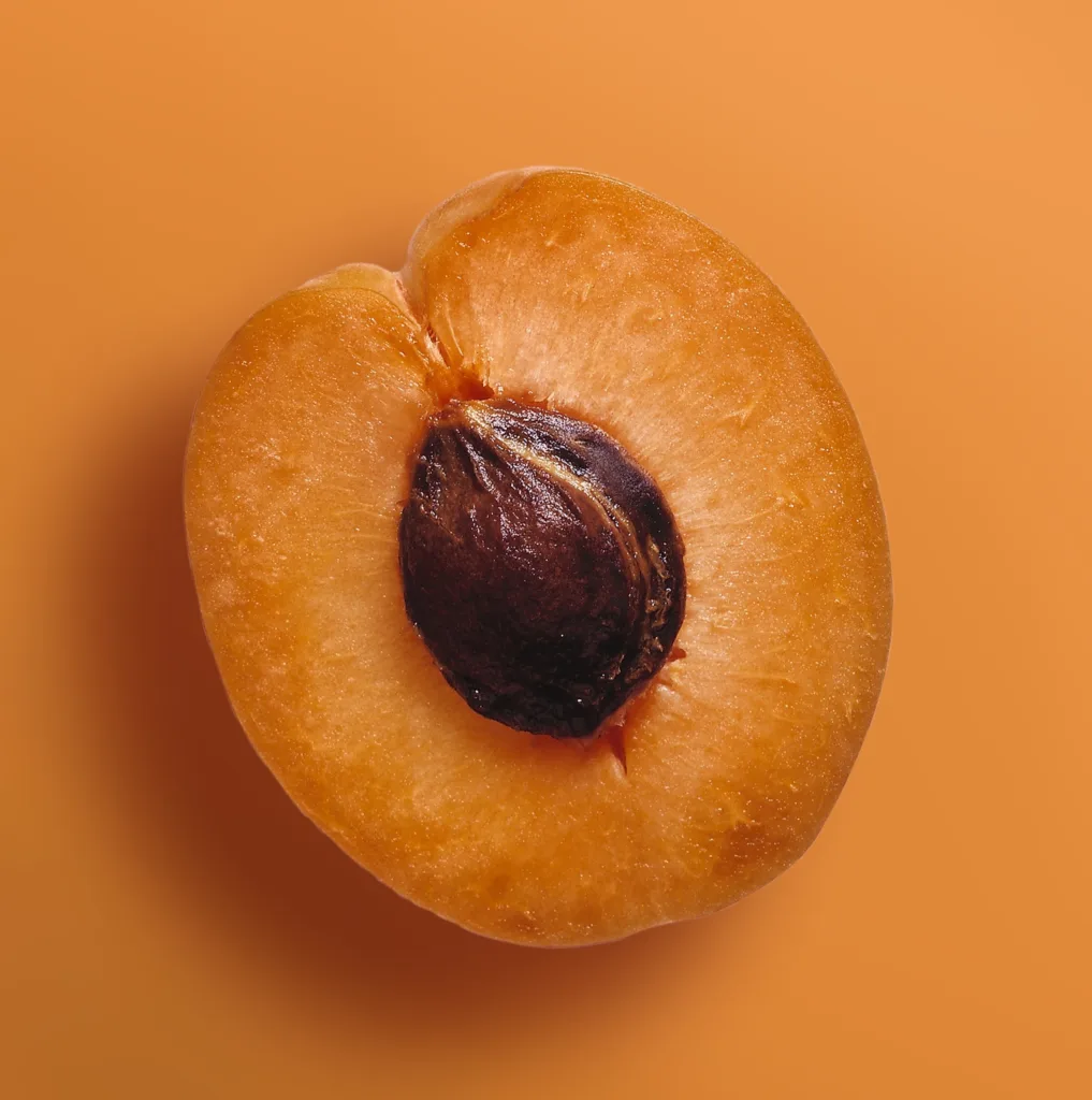An Apricot with seed on the dark Orange Surface