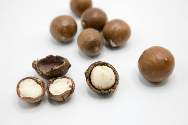 some whole and some without shell Macadamia nuts in grey background