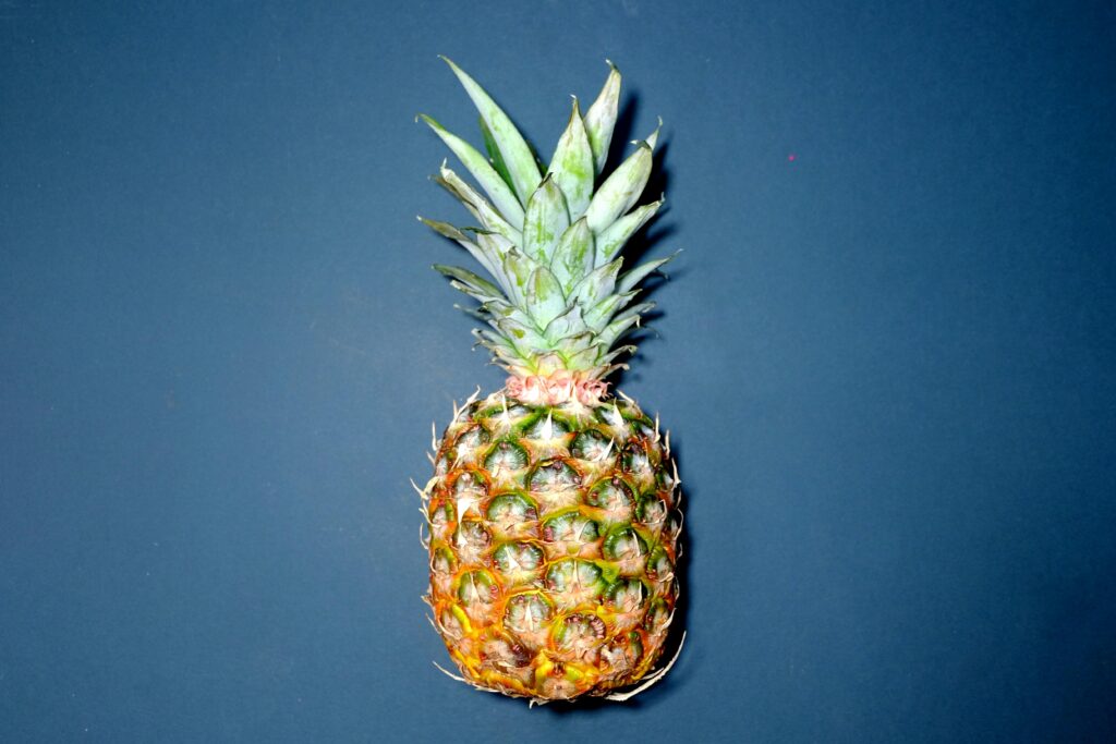 A whole pineapple on the dark and light mix combination of blue colour background