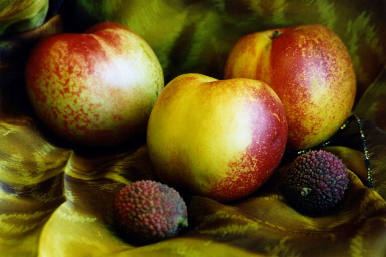 Three ripe nectarines with smooth, reddish-orange skin, resting on a leaves.